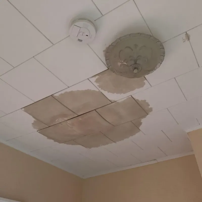 Ceiling Water Damage Repair in Reserve, LA